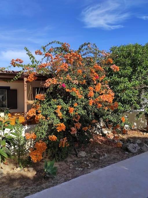 Ferienwohnung Au Coeur D'Olhão Exterior foto
